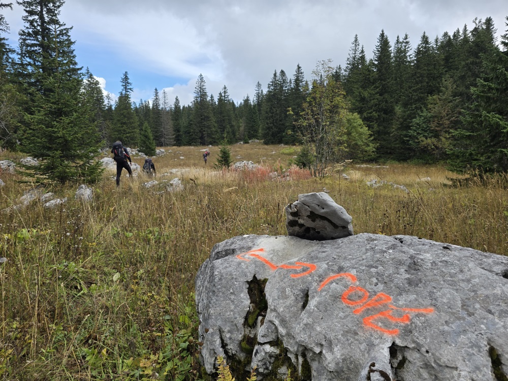 Vitorog-sep2026-